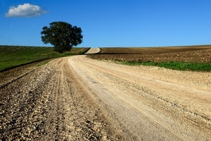 strada, albero, cielo, nuvola, campagna, campi, campo, curva, verde, terra